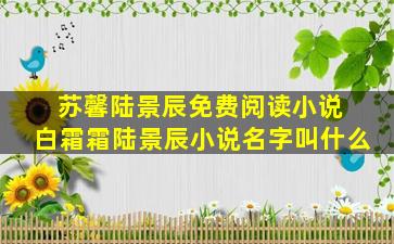 苏馨陆景辰免费阅读小说 白霜霜陆景辰小说名字叫什么